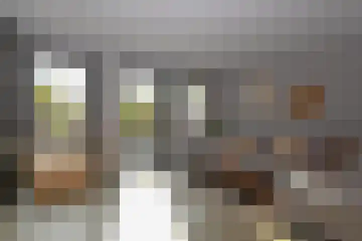 Watermuntlaantje 4 Landsmeer thumbnail 13