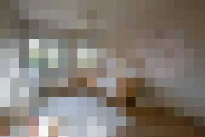 Watermuntlaantje 4 Landsmeer thumbnail 15