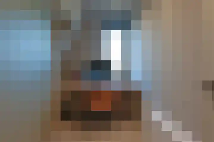 Watermuntlaantje 4 Landsmeer thumbnail 28