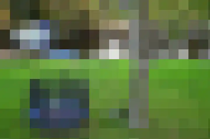 Watermuntlaantje 4 Landsmeer thumbnail 30