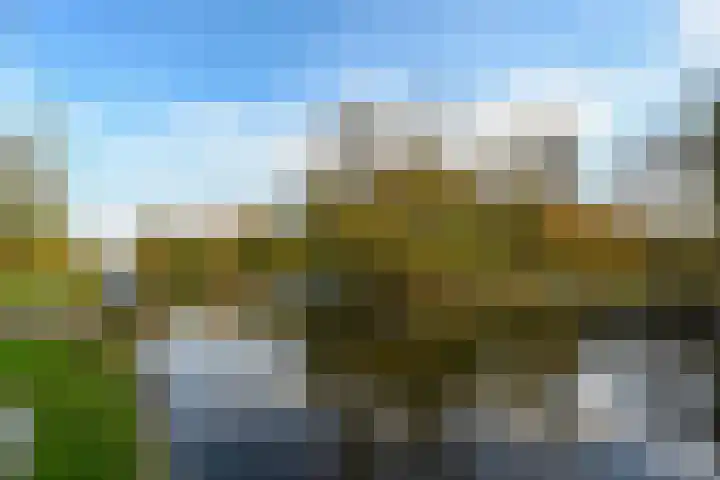 Watermuntlaantje 4 Landsmeer thumbnail 31