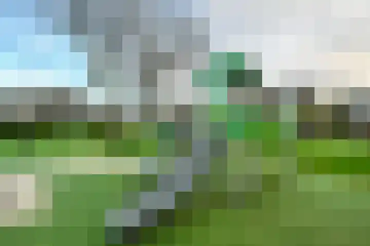 Watermuntlaantje 4 Landsmeer thumbnail 32