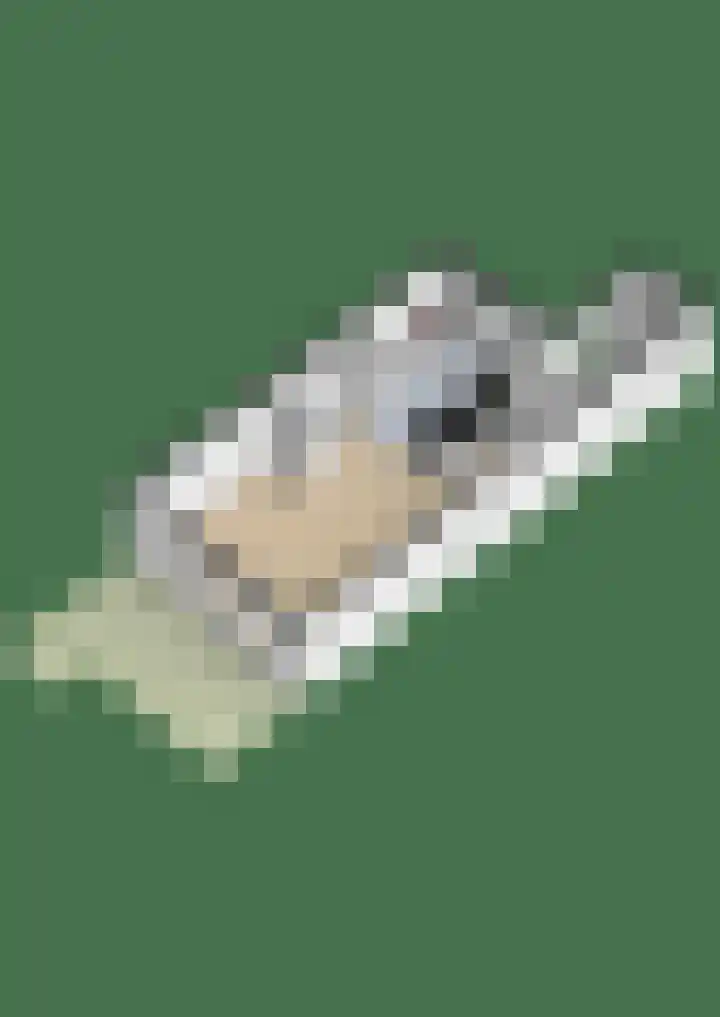 Watermuntlaantje 4 Landsmeer thumbnail 37