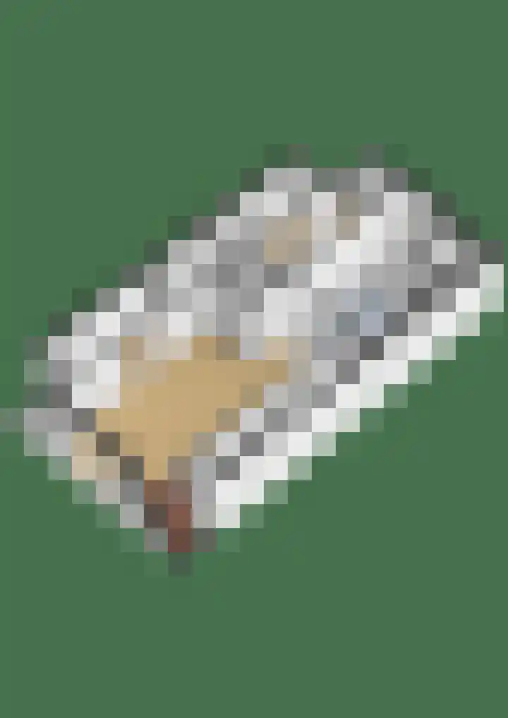 Watermuntlaantje 4 Landsmeer thumbnail 39