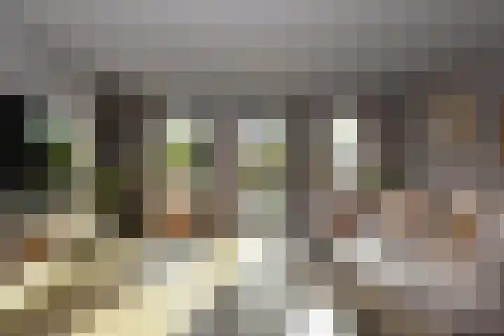 Watermuntlaantje 4 Landsmeer thumbnail 9