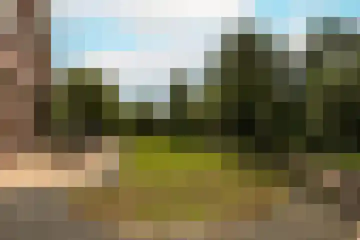 Waterpark 54 Wateringen thumbnail 42