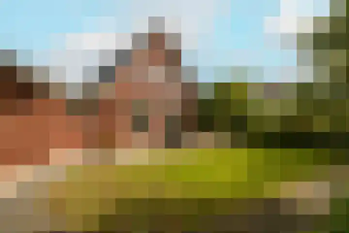 Waterpark 54 Wateringen thumbnail 43