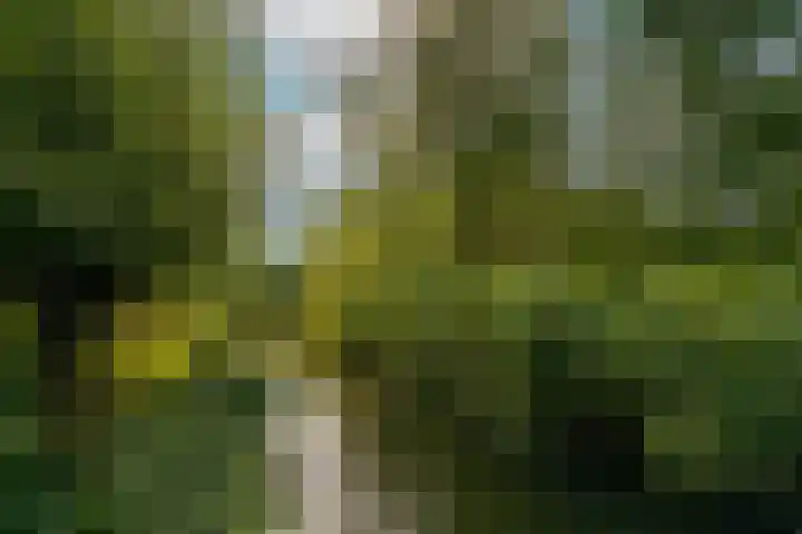 Waterpark 54 Wateringen thumbnail 46