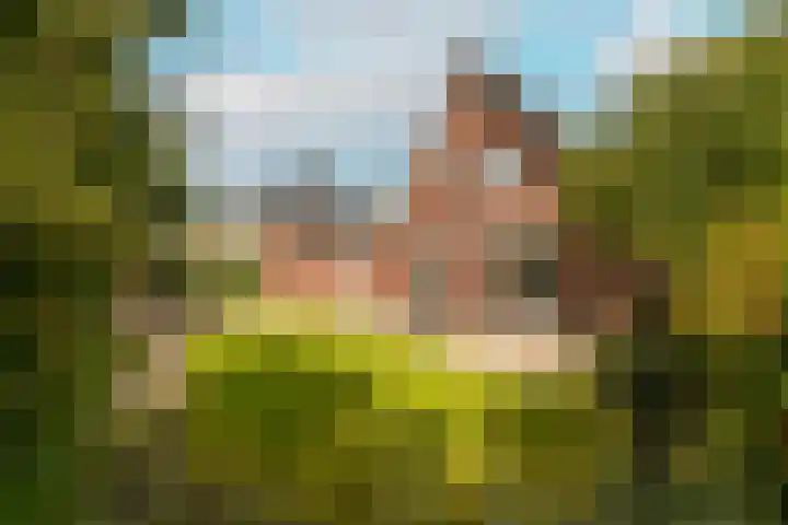 Waterpark 54 Wateringen thumbnail 47