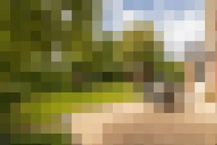 Waterpark 54 Wateringen thumbnail 48