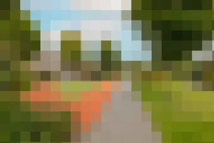 Waterpark 54 Wateringen thumbnail 58