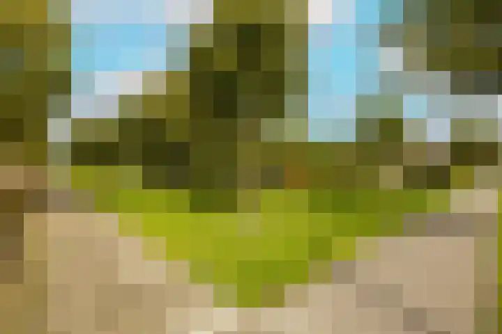 Waterpark 54 Wateringen thumbnail 59