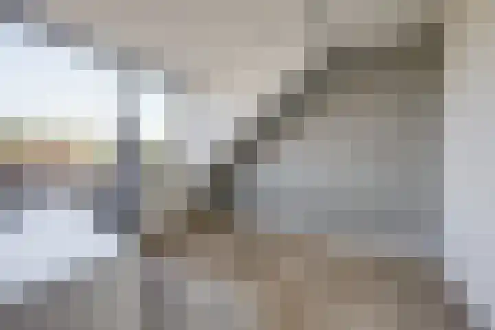 Waterpas 22 Dronten thumbnail 27