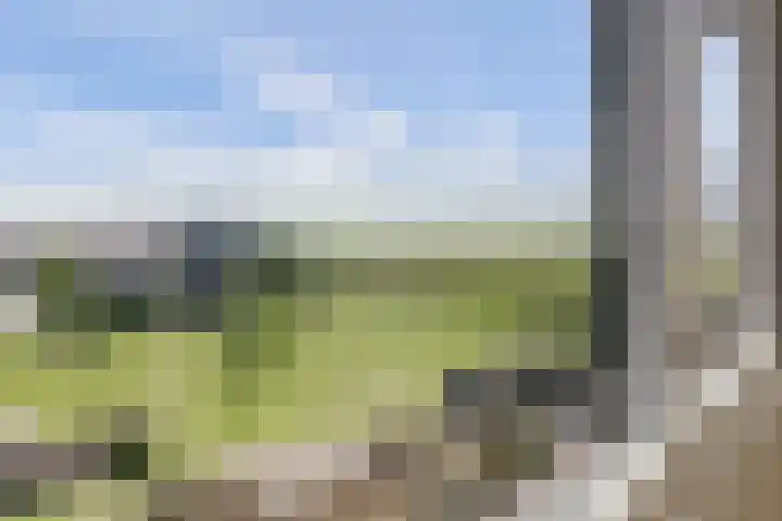 Waterpas 22 Dronten thumbnail 31