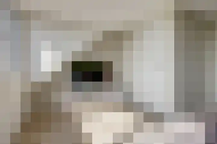 Waterpas 22 Dronten thumbnail 32