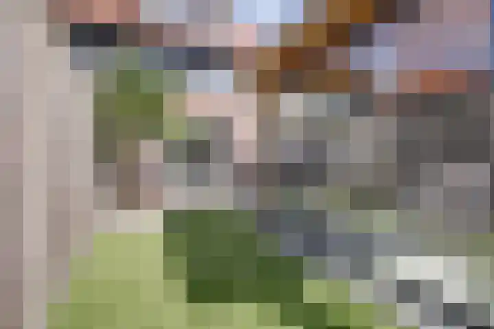 Waterpas 22 Dronten thumbnail 34