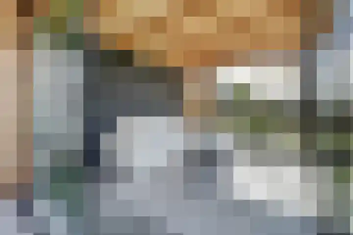 Waterpas 22 Dronten thumbnail 35