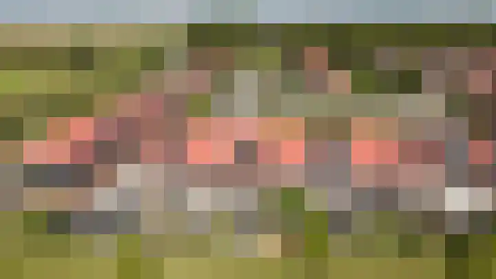 Waterpas 22 Dronten thumbnail 4