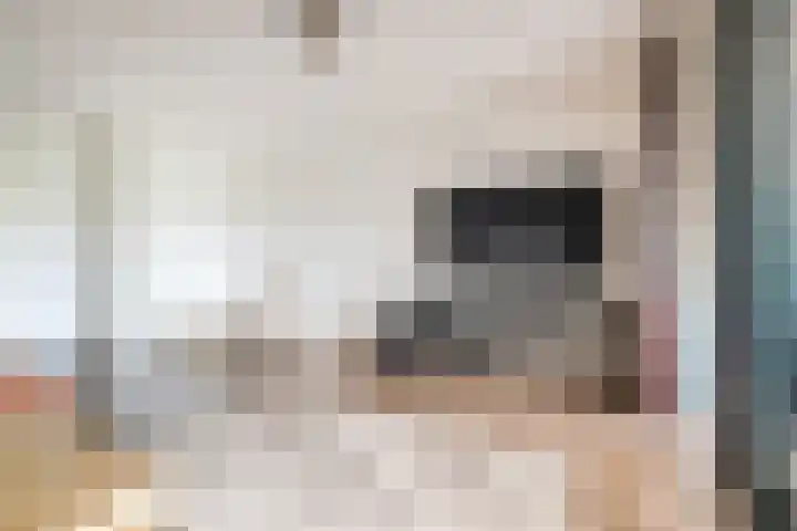 Waterpas 7 Dronten thumbnail 13