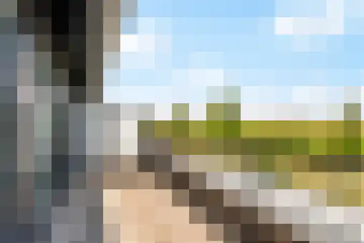 Waterpas 7 Dronten thumbnail 24