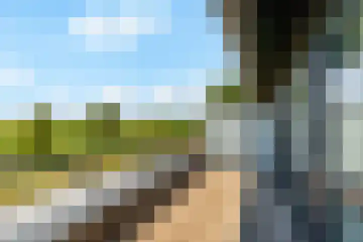 Waterpas 7 Dronten thumbnail 25