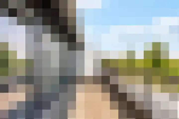 Waterpas 7 Dronten thumbnail 26