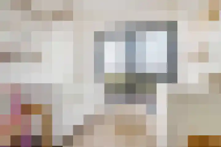 Waterpas 7 Dronten thumbnail 29