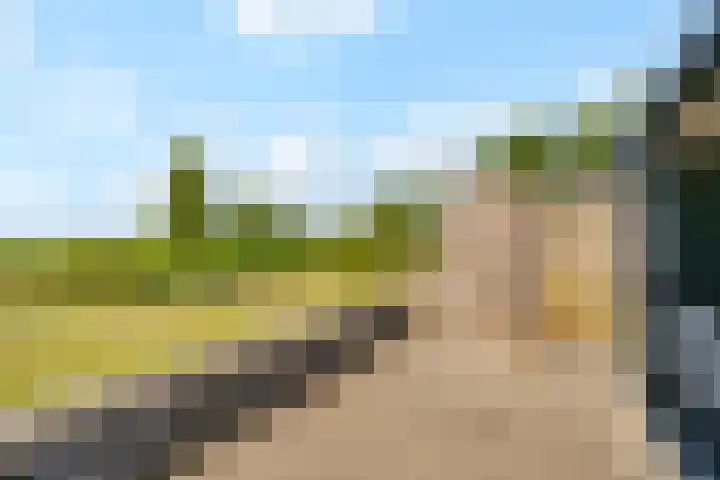 Waterpas 7 Dronten thumbnail 41
