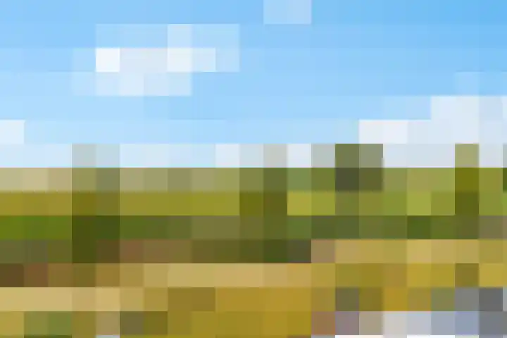 Waterpas 7 Dronten thumbnail 44