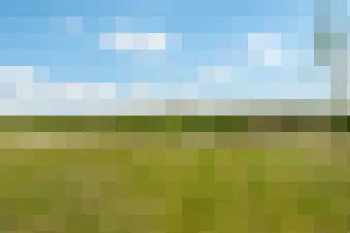 Waterpas 7 Dronten thumbnail 45