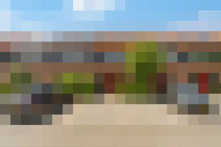 Waterpas 7 Dronten thumbnail 5