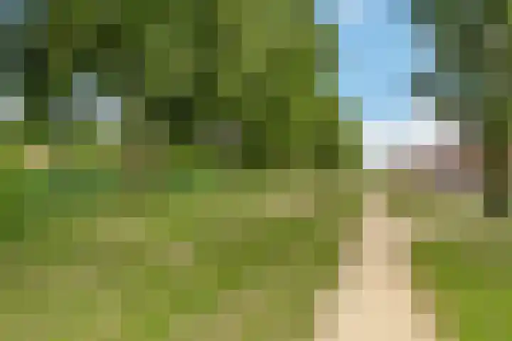 Waterpas 7 Dronten thumbnail 50