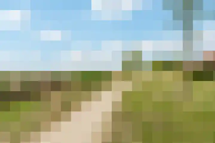 Waterpas 7 Dronten thumbnail 54