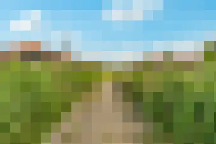 Waterpas 7 Dronten thumbnail 56