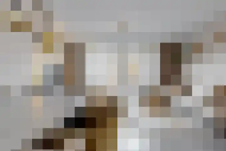 Waterpeil 11 Wilnis thumbnail 13