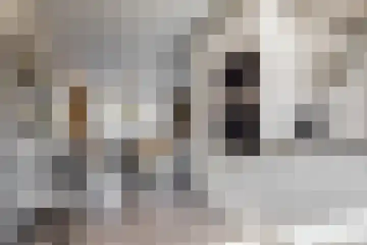Waterpeil 11 Wilnis thumbnail 14