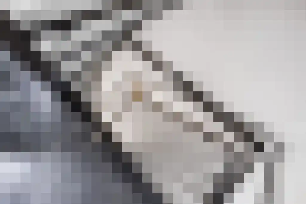 Waterpeil 2 Sneek thumbnail 24