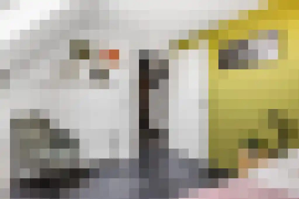 Waterpeil 2 Sneek thumbnail 26