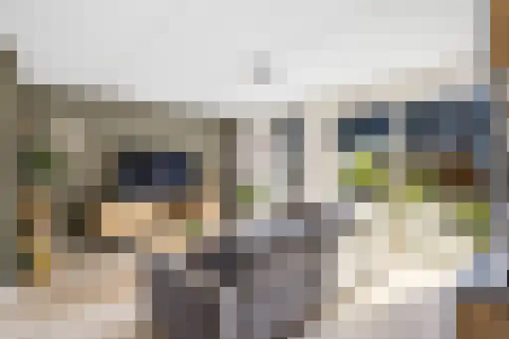 Waterpeil 2 Sneek thumbnail 8