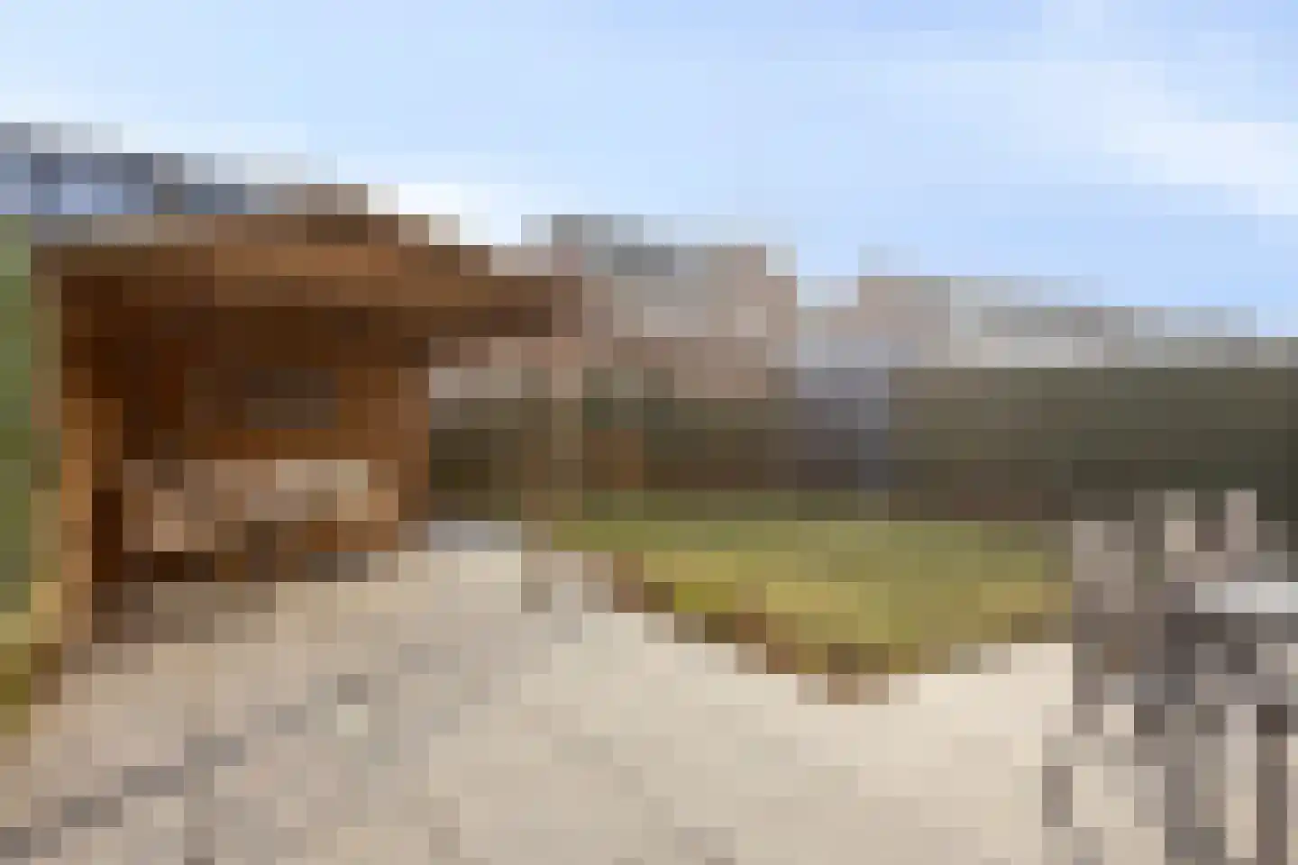 Waterpeil 22 Wilnis thumbnail 33