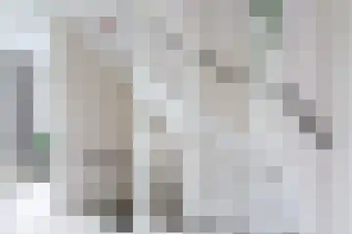 Waterpeil 3 Wilnis thumbnail 15