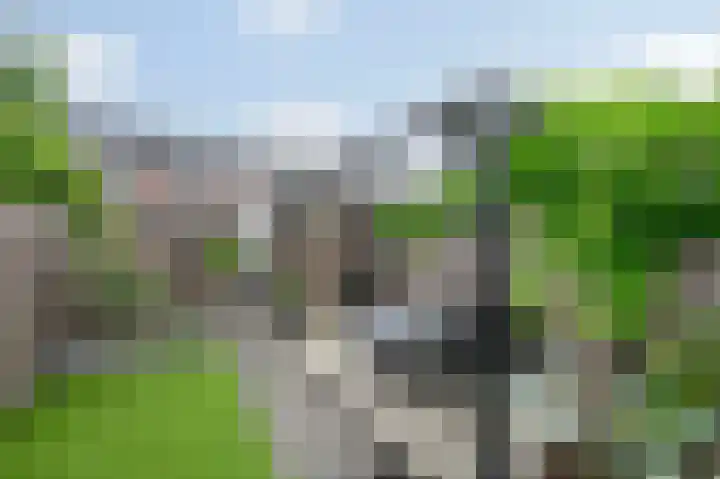 Waterpeil 3 Wilnis thumbnail 19