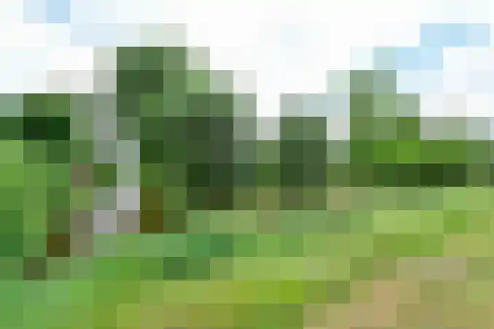 Waterpeil 3 Wilnis thumbnail 24