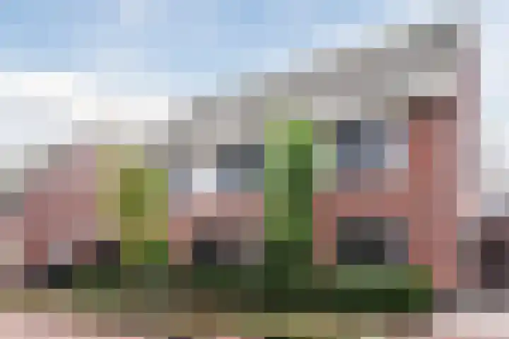 Waterpeil 4 Wilnis thumbnail 5