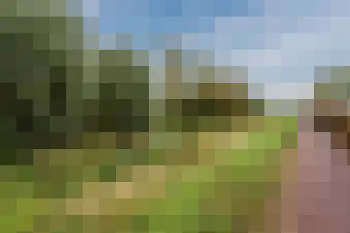 Waterpeil 4 Wilnis thumbnail 6