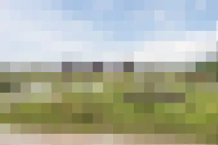 Waterpeil 4 Wilnis thumbnail 7