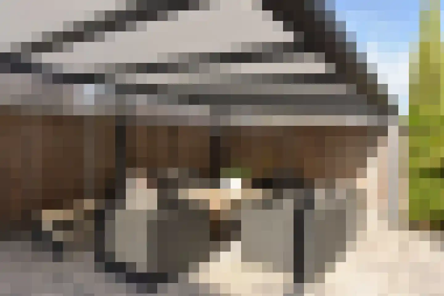 Waterpeil 52 Wilnis thumbnail 19