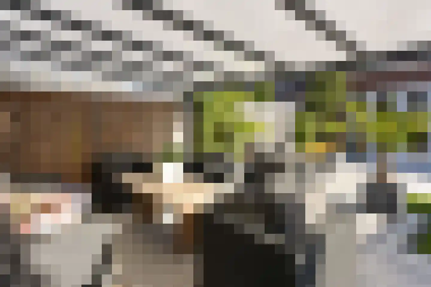 Waterpeil 52 Wilnis thumbnail 20