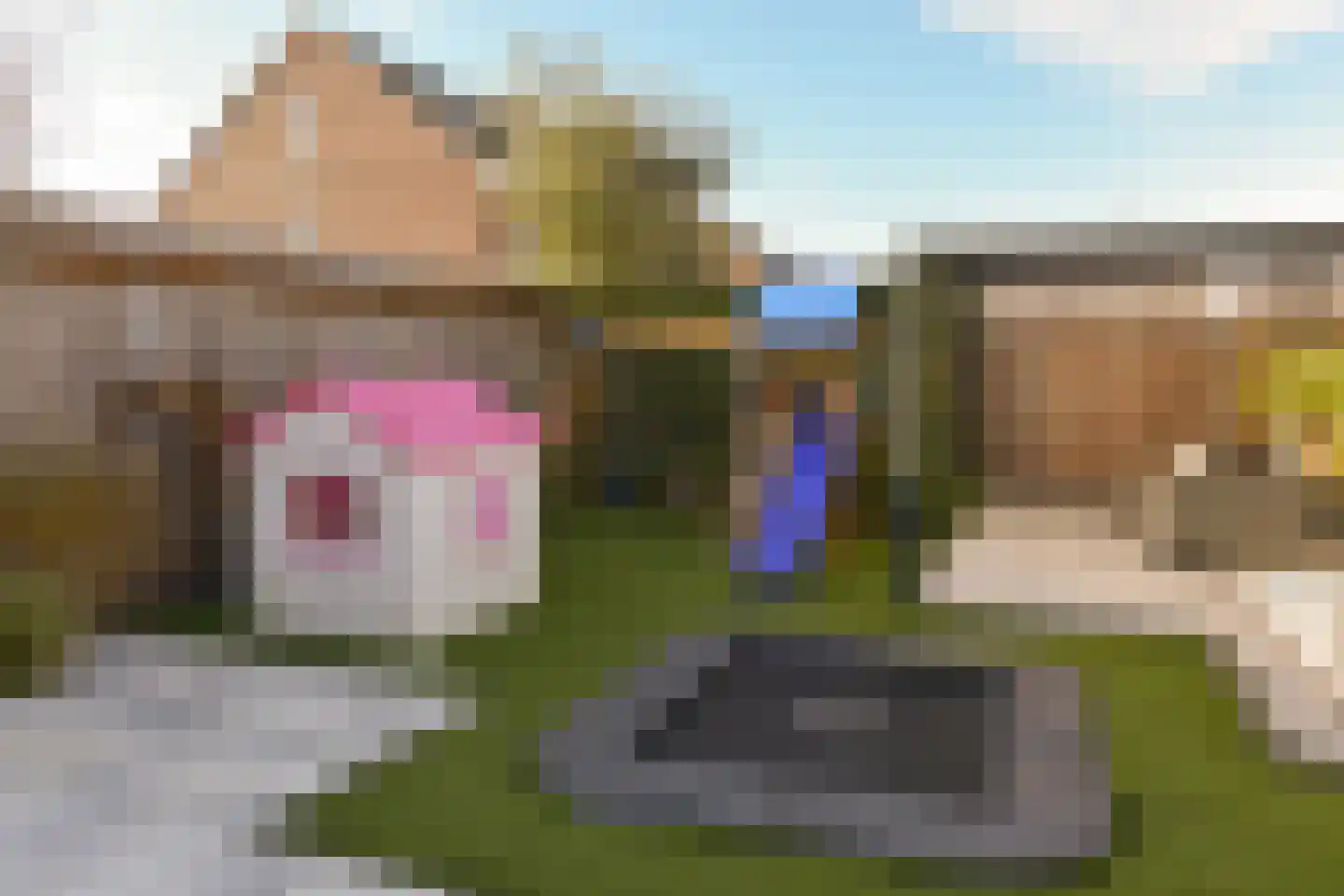 Waterpeil 52 Wilnis thumbnail 22