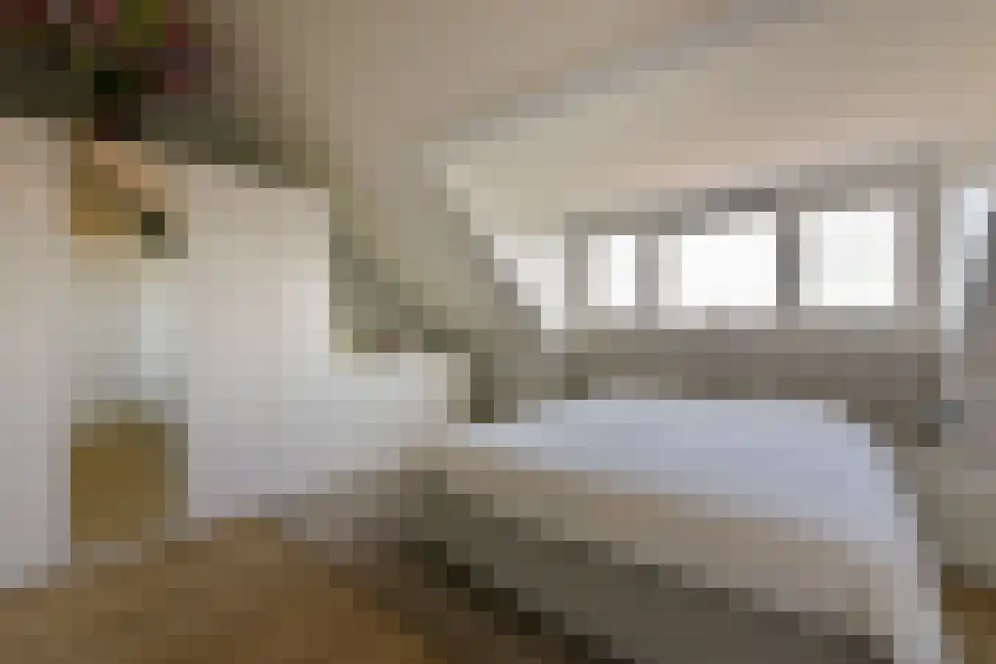Waterpeil 52 Wilnis thumbnail 36